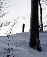  3. Februar 2013 - Samuels Ginkgo ist tief verschneit